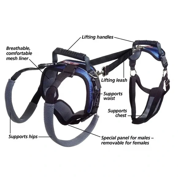 🆕 [PetSafe] CareLift Handicapped Support Dog Harness Sz: Large - Picture 2 of 7